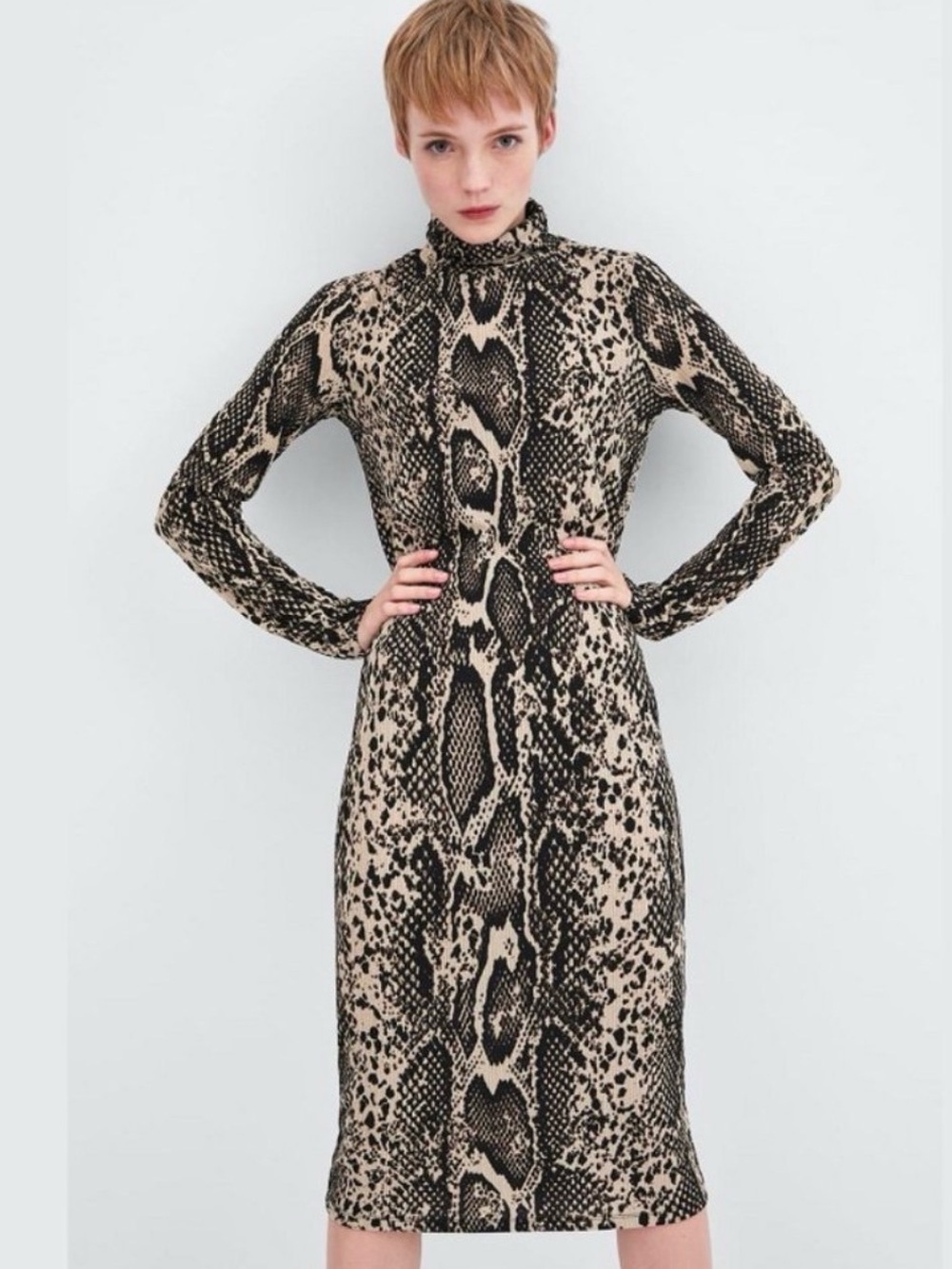 Zara Snake-Print Midi Dress - Black & Cream